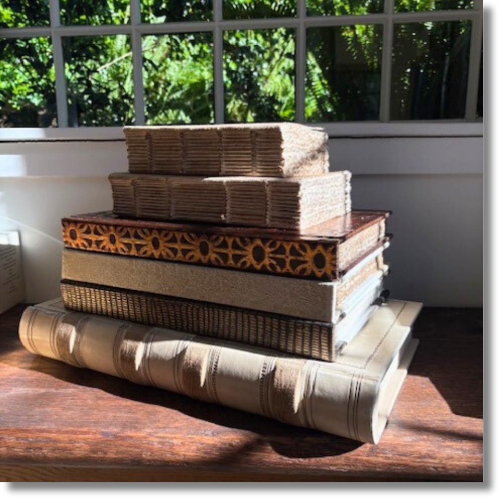 Handmade Vellum Journals