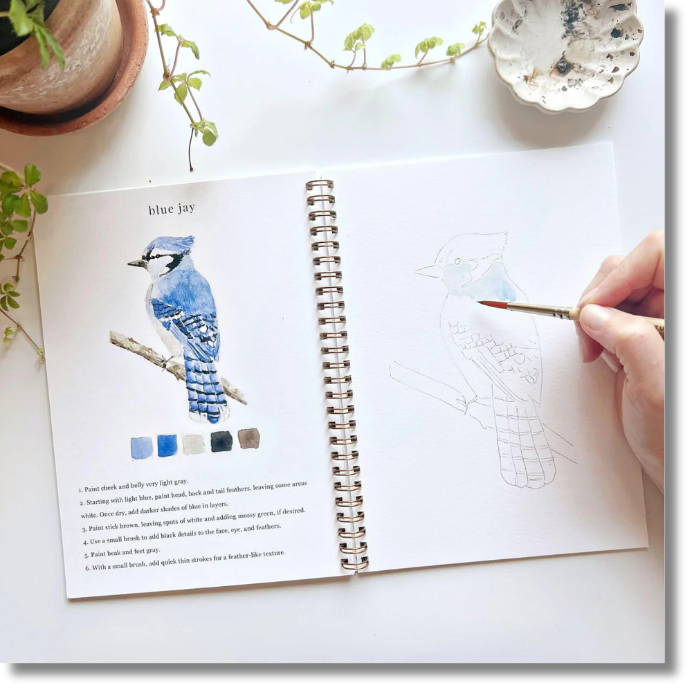 Emily Lex Watercolor Workbooks