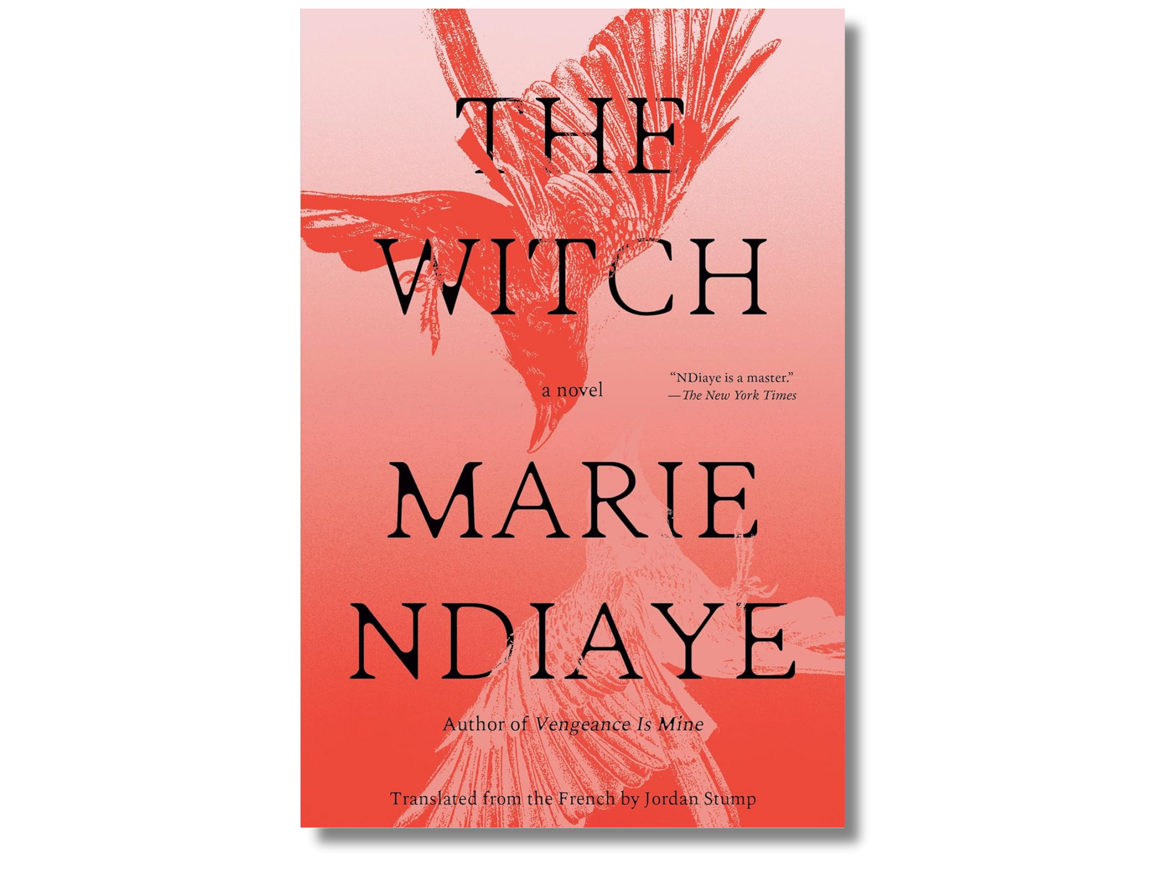 The Elsewhere Book Club