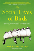 The Social Lives of Birds: Flocks, Communes, and Families - Ingram