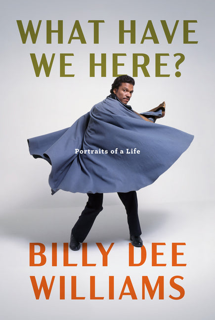 What Have We Here?: Portraits of a Life - Ingram