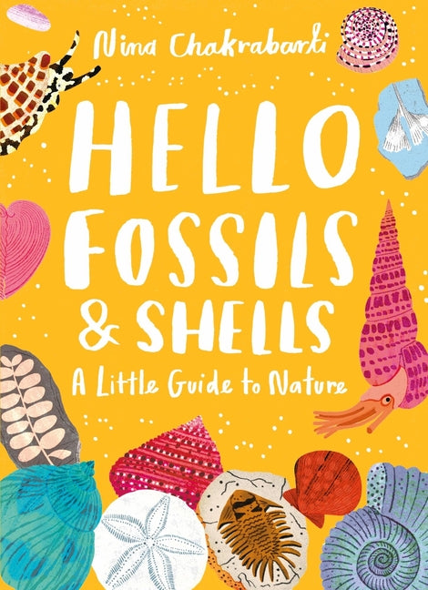 Little Guides to Nature: Hello Fossils and Shells - Ingram