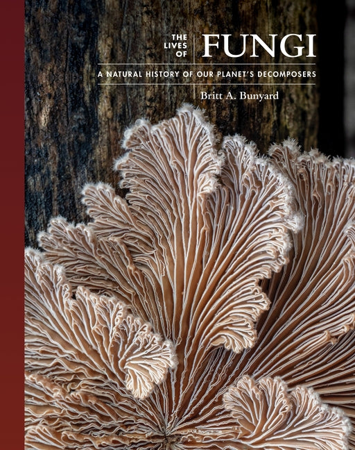 The Lives of Fungi: A Natural History of Our Planet's Decomposers - Ingram