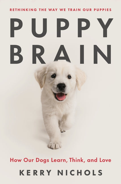Puppy Brain: How Our Dogs Learn, Think, and Love - Ingram
