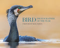 Bird Photographer of the Year: Collection 10 - Ingram