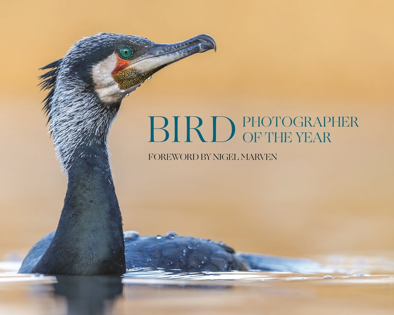 Bird Photographer of the Year: Collection 10 - Ingram