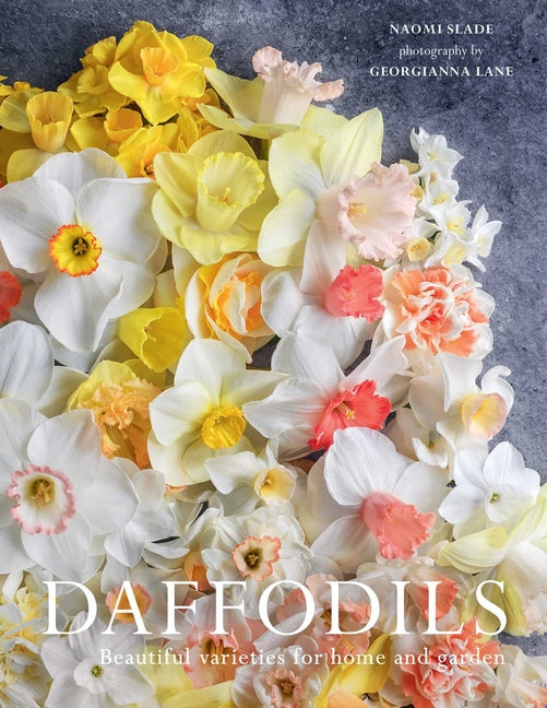 Daffodils: Beautiful Varieties for Home and Garden - Ingram