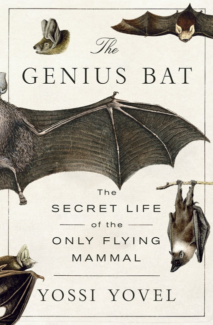 The Genius Bat: The Secret Life of the Only Flying Mammal - Ingram