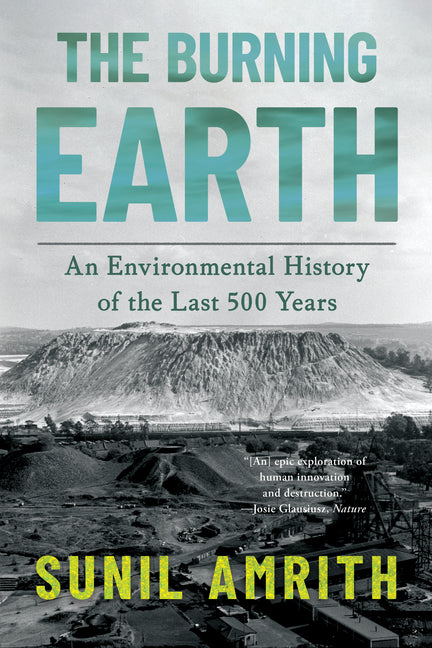 The Burning Earth: An Environmental History of the Last 500 Years - Ingram