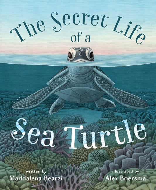 The Secret Life of a Sea Turtle - Ingram