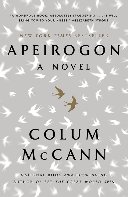 Apeirogon: A Novel - Ingram