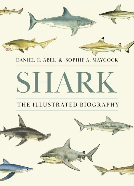 Shark: The Illustrated Biography - Ingram