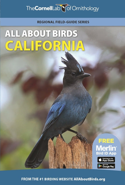 All about Birds California - Ingram