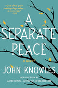 A Separate Peace - Ingram