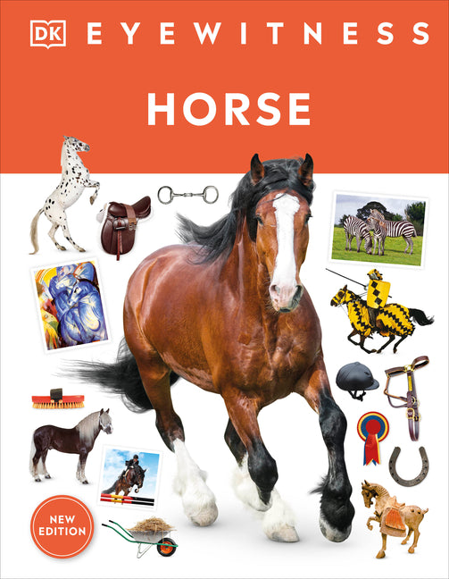 Eyewitness Horse - Ingram