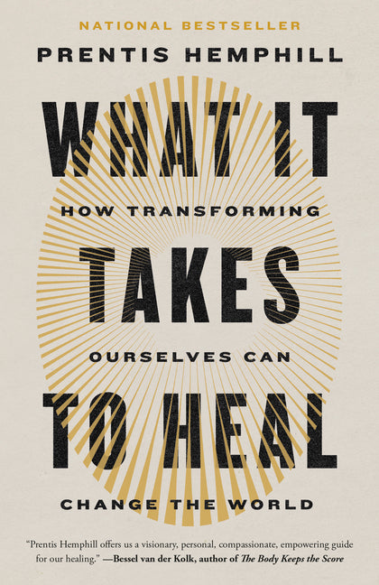 What It Takes to Heal: How Transforming Ourselves Can Change the World - Ingram